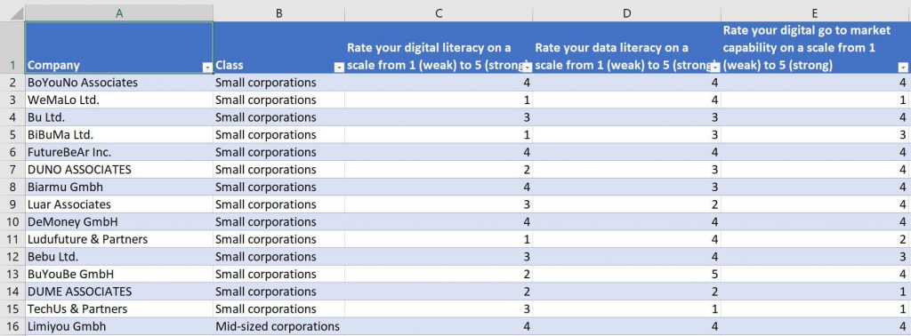 Survey raw data example